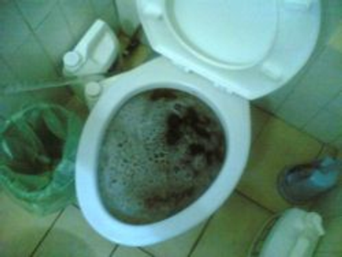 通馬桶,高雄, 馬桶不通