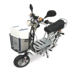 電動摩托車-銀狐色-時尚綠能環保-50CC 輕型電動摩托車