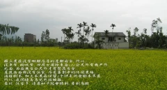 花蓮民宿-心身活休閒農莊