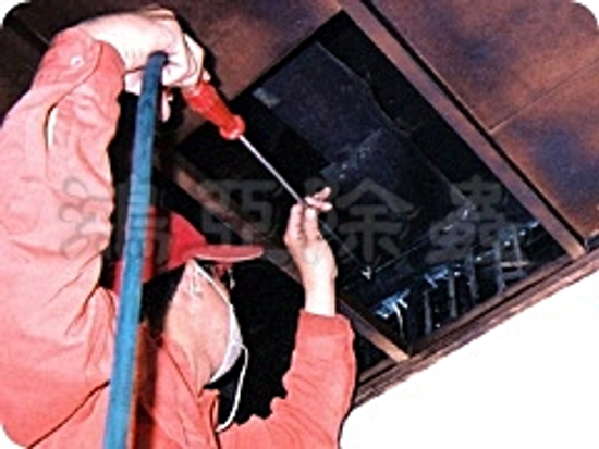 白蟻(建築裝潢的破壞兇手)