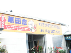 非洲獅子
