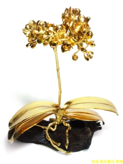 黃金蘭花