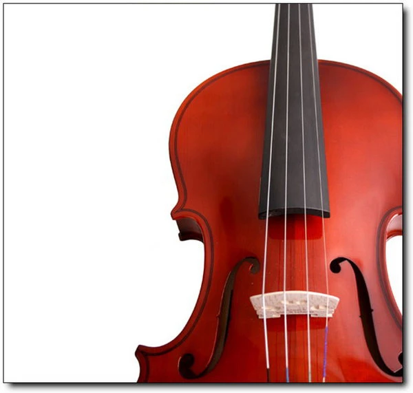 超便宜小提琴-實木110(H)