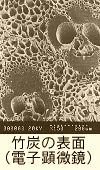 顯微鏡下的竹炭纖維