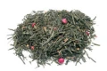 芙蘿拉-日式綠寶石綠茶Green Tea
