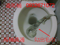 台南包通-流理台-浴室-陽台-馬桶-小便斗-水管排水阻塞不通