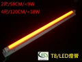 LED燈管T8特色紅光9W-2尺(T2R2)