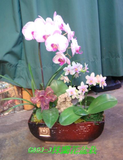 龍昇花藝精品生活館