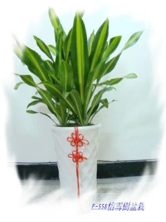 龍昇花藝精品生活館