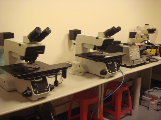 Olympus MX61 工具顯微鏡