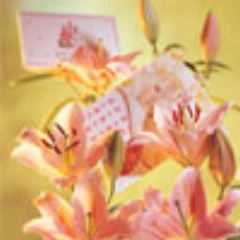 標準紙業有限公司
