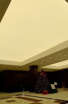 NewLight Stretch Ceiling