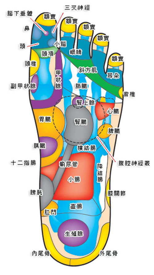 桃園指油壓按摩推拿可外出0982637245小琳