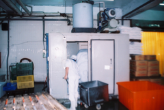 Flake ice making machine, which is completed with condensing unit.