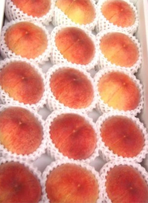 日本山梨堪稱水蜜桃之鄉,出產的水蜜桃聞名全球,-汁多.味美,果型也較大,