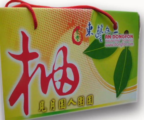 味美香甜的東豐文旦