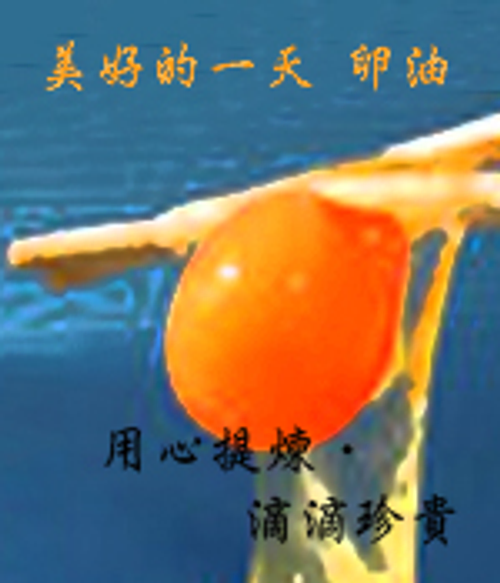 美好的ㄧ天精選雞蛋 卵油 30cc/1瓶裝