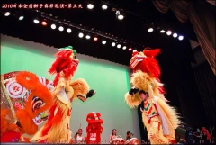 各類舞龍舞獅/南北獅雜耍