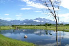 美麗生態湖