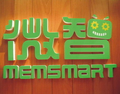 微智半導體股份有限公司