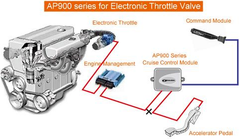 AP-900 電子式 定速巡航系統