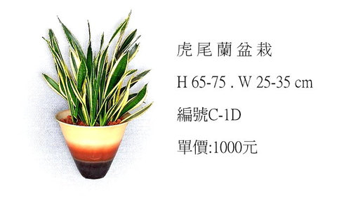 開運盆栽