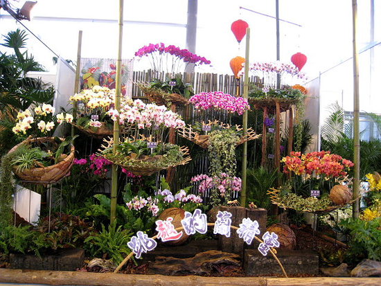 2010國際蘭花展佈置