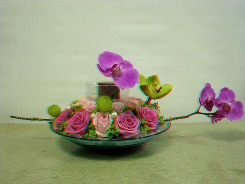 盆花..3D視覺展示