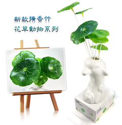 花草動物款-擴香竹花精油組(薰香花+高級水氧精油)批發團購(7102-7)
