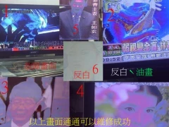 顏色奇怪 油畫 反白 通通可以維修成功