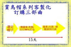 夏季-布牛仔帽 男女款式 /MIT- 登山專用帽/客製化logo賞鳥帽.印公司行號