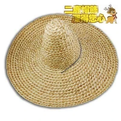 ( 超大)墨西哥草帽 遮大太陽