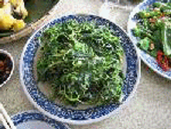 野莧菜(高鈣)