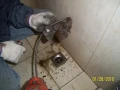 水電維修-通糞管-通水泥管-抽水肥-利盛