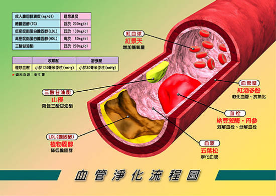 標準的膽固醇值為何？