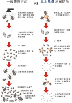 一般噴霧方式 vs 三水除蟲 蟑螂深層防治
