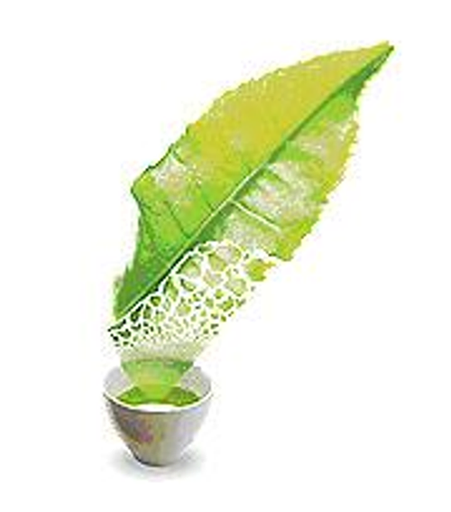 茶類