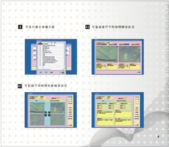 毛髮DM2