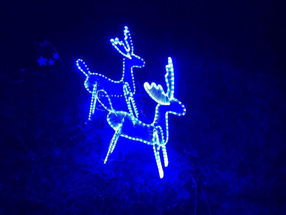 LED 麋鹿 藍光 聖誕
