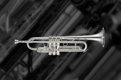 YDS-387RS小號