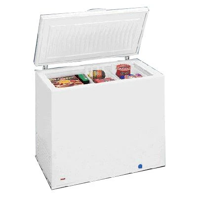 -20℃ 冷凍櫃(249公升)