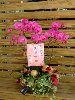 典藏精緻蘭花組2000元起