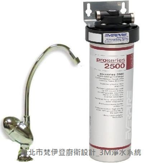 愛惠浦 Everpure PRO 2500 淨水器 新北市林口淨水器02-26082258