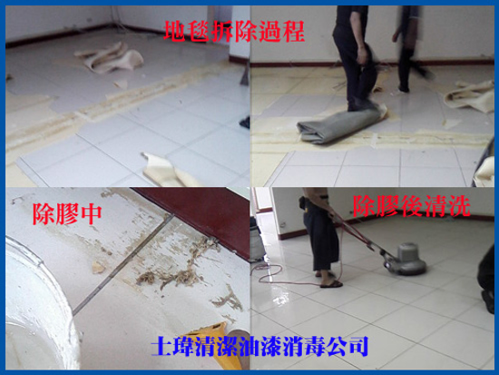 台北士瑋清潔公司-專業地毯沙發清潔服務