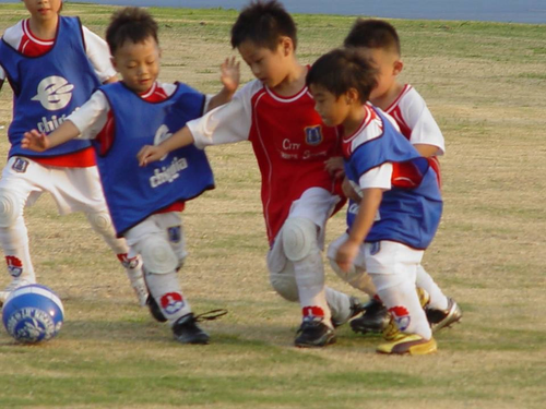 幼兒.兒童.少年運動的好社團.假日運動營.夏令營.冬令營