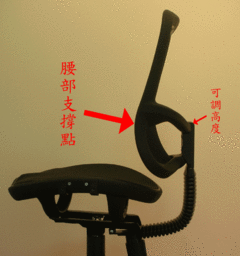 全網布人體工學椅
