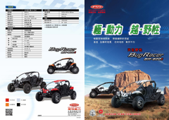 沙灘車2