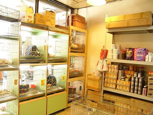 燕翬寵物名店(燕翬狗店)
