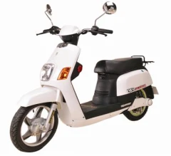 EVA-R 電動自行車/日系熱銷款-金牌EVA R版 電動自行車 免駕照