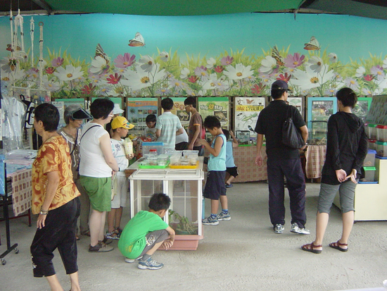 南坪山甲蟲繁殖場在雲林縣古坑鄉(綠色隧道)昆蟲生態精品展